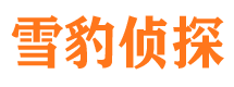 南县侦探公司